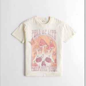 NWT! Hollister Oversized Print Graphic Dad Tee